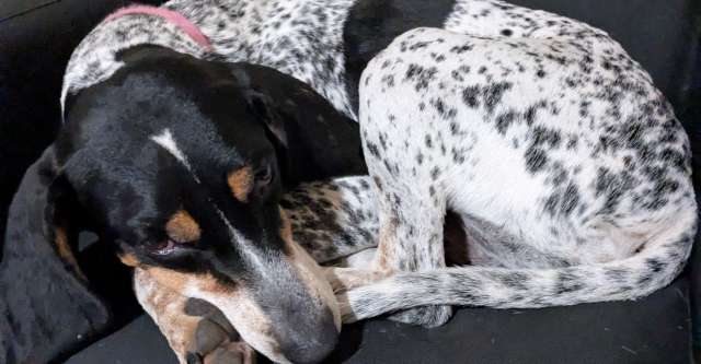 PXL 20260806 143504038.MP 640x333