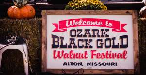 walnut festival 2018 9859 2 300x156