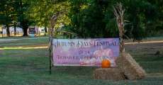 Thomasville Autumn Days