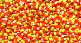 candy corn 3720431 1280 260x140